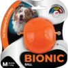 Bionic Ball kutya játék M-es 7-15kg