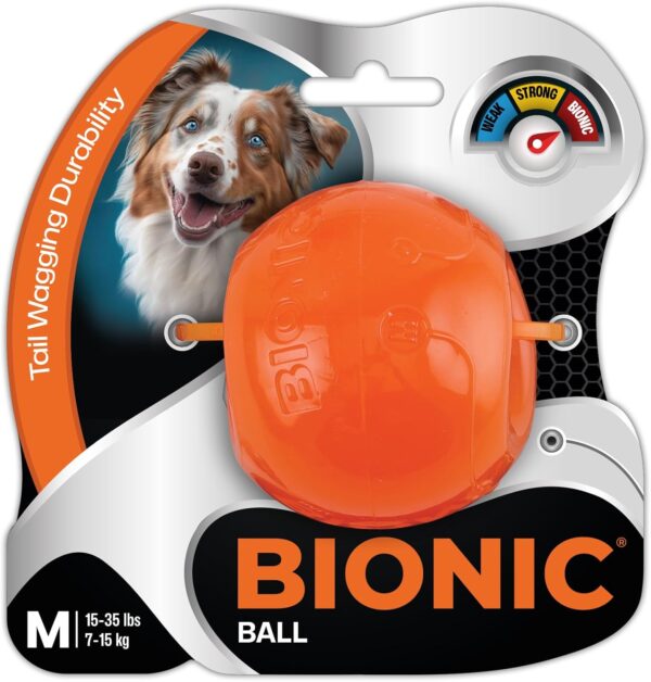 Bionic Ball kutya játék M-es 7-15kg
